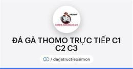 tính năng nổi bật đá gà c1 c2 c3 c4 trực tiếp
