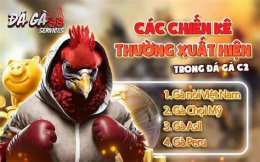tính năng nổi bật đá gà c2 17/7