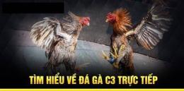 tính năng nổi bật đá gà c3 ngày 19 tháng 7