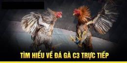 tính năng nổi bật đá gà c3 ngày 19 tháng 9