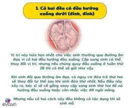 tính năng nổi bật đá gà cặp song sinh