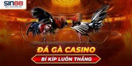 tính năng nổi bật đá gà casino tịnh biên