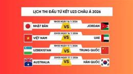 tính năng nổi bật đá gà châu á