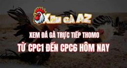 tính năng nổi bật đá gà cpc1 trận 16 hôm nay