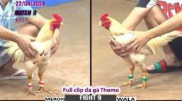 tính năng nổi bật đá gà cpc3 trận 22