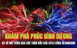 tính năng nổi bật đá gà cpc3 trận 54