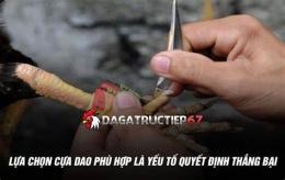 tính năng nổi bật đá gà cưa dao trực tiếp