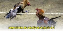 tính năng nổi bật đá gà cựa sắt là gì