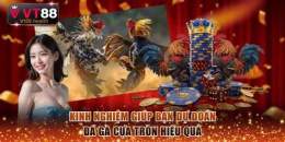tính năng nổi bật da ga cua tron