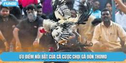 tính năng nổi bật dá gà đòn