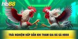 tính năng nổi bật đá gà hb88