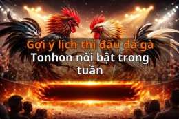 tính năng nổi bật đá gà hôm nay tonhon
