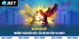 tính năng nổi bật đá gà i9bet