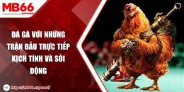 tính năng nổi bật da ga mb66