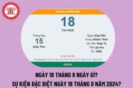 tính năng nổi bật đá gà ngày 18 tháng 8