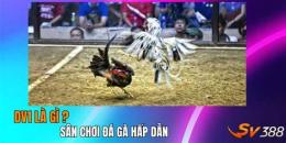 tính năng nổi bật đá gà ngày 20/2/2023