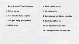 tính năng nổi bật da ga ngu nhat viet nam