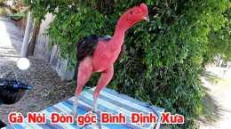 tính năng nổi bật da ga noi don binh dinh