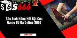 tính năng nổi bật đá gà online game