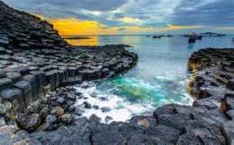 tính năng nổi bật da ga phu yen