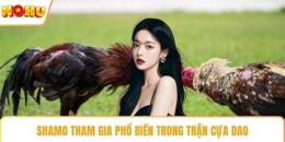tính năng nổi bật đá gà shamo