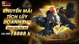 tính năng nổi bật đá gà st666