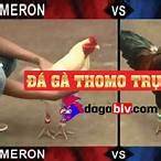 tính năng nổi bật da ga thommo c1