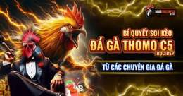 tính năng nổi bật đa ga thomo 1/5