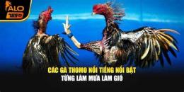 tính năng nổi bật da ga thomo 20 7