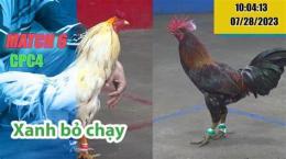 tính năng nổi bật đá gà thomo 28/6/2023