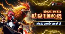 tính năng nổi bật da ga thomo 3/5