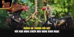 tính năng nổi bật da ga thomo cua dao