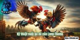 tính năng nổi bật đá gà thomo long an
