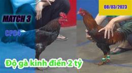 tính năng nổi bật đá gà thomo ngày 3 tháng 5 năm 2023