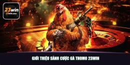 tính năng nổi bật da ga thomo win