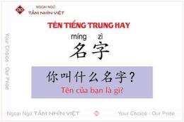 tính năng nổi bật đá gà tiếng trung là gì