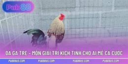 tính năng nổi bật da ga tre giai lang