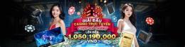 tính năng nổi bật đá gà trên casino trực tiếp