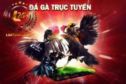 tính năng nổi bật đá gà trên miễn
