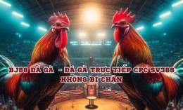 tính năng nổi bật da ga truc tiep bj88