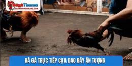 tính năng nổi bật đá gà trực tiếp cựa dao mỹ