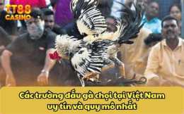 tính năng nổi bật đá gà trường gà 67