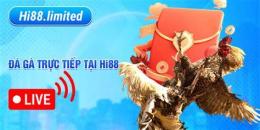 tính năng nổi bật đá gà tv dagatv.online