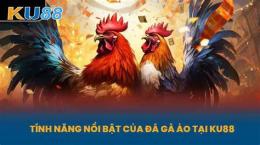 tính năng nổi bật đá gà vnd188.in