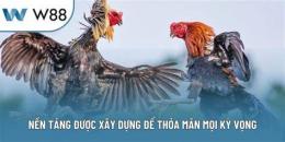 tính năng nổi bật đá gà w88