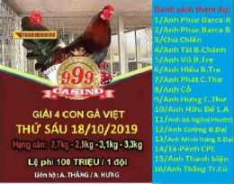 tính năng nổi bật da giai 4 con ga viet
