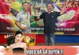 tính năng nổi bật đá giải gà duyên ti