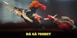 tính năng nổi bật đăng ký đá gà 789