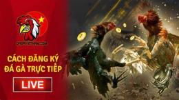 tính năng nổi bật đăng ký trang đá gà trực tuyến