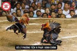 tính năng nổi bật đánh bạc dưới hình thức đá gà